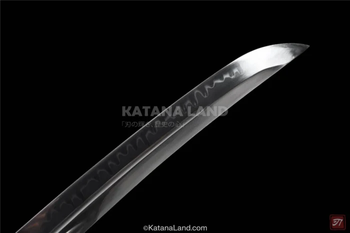 Stunning Kinjiryu Katana for Collectors