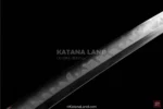 Crimson Dragon katana swords for martial arts
