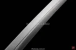 Ryuu no Tabidachi sword showcasing exquisite blade details