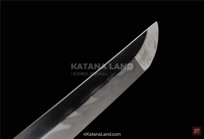 Unique Hamon pattern on katana blade