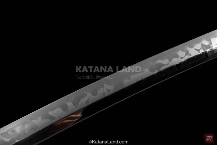 Handcrafted Ryūi no Ken Katana