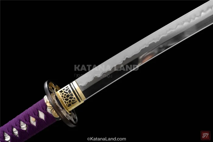 Elegant Black Katana with T10 Steel