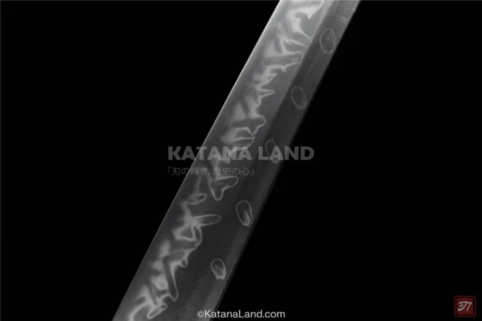 Dragon Claw Design Katana