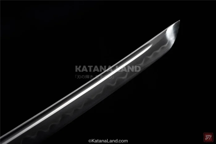 Stylish black katana for display