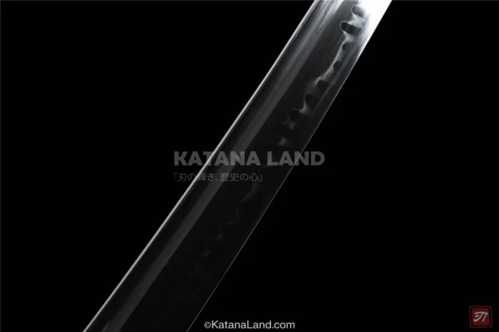 Elegant Black Katana with BO-HI Design