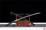 Exorcist Katana - Handcrafted T10 Steel
