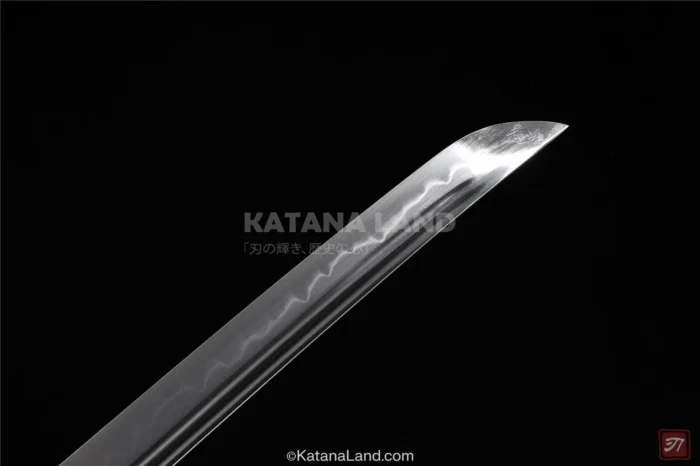 T10 Steel Exorcist Katana for Collectors