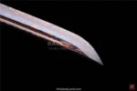 Unique Plum Blossom Tanto for Display and Practice