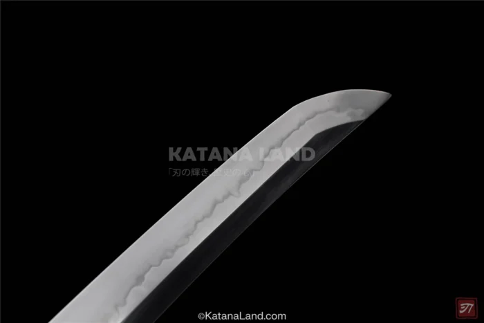 Hamon Pattern on Ryūkon Katana