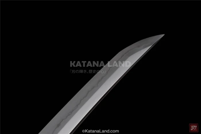 Premium T10 Steel Samurai Blade