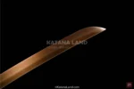 Kinjirō no Katana - A Masterpiece