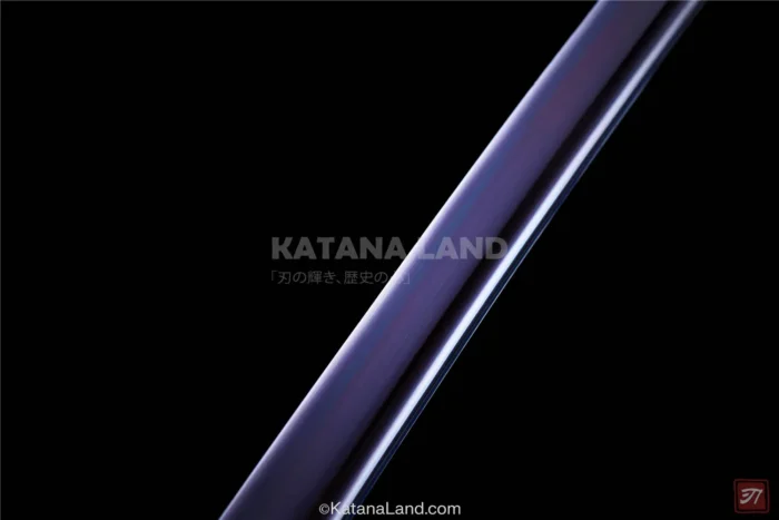 Elegant Black Katana for Martial Arts