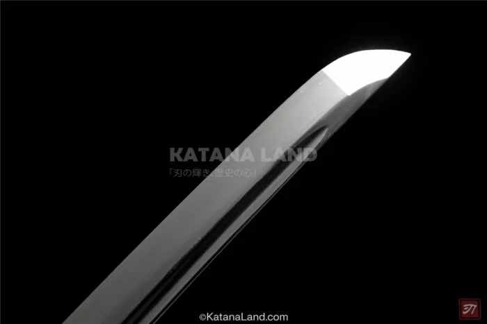 Durable Spring Steel Raikō Ken Katana