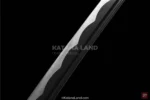 Premium Black Blade Katana for Martial Arts