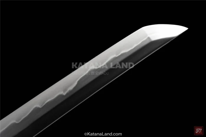 Elegant Black Katana for Collectors