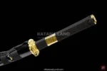 Sleek Black Katana for Collectors