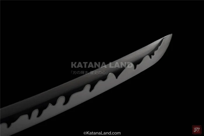 Stunning black Ryūryū Tachi katana