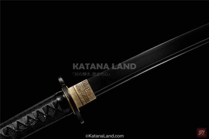 Ryūko Tachi: Elegant black spring steel katana