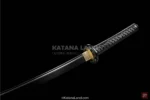 Spring steel katana: Ryūko Tachi with distinctive features