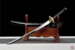 Elegant black katana with a unique mirror surface