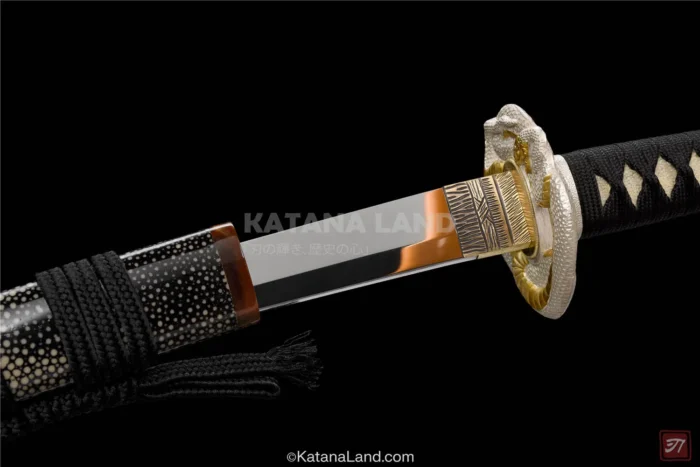 Shirohebi no Kage black katana for martial arts