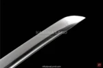 Stylish Black Katana for Collectors