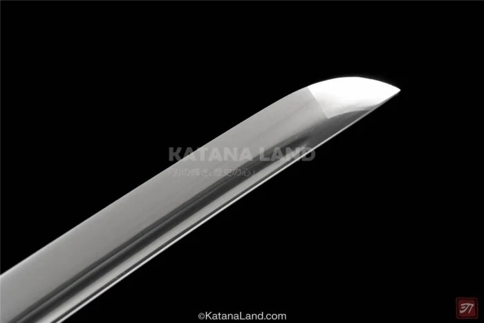 Authentic Samurai Katana in Black Finish