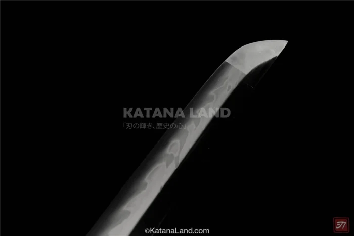 Elegant hamon katana