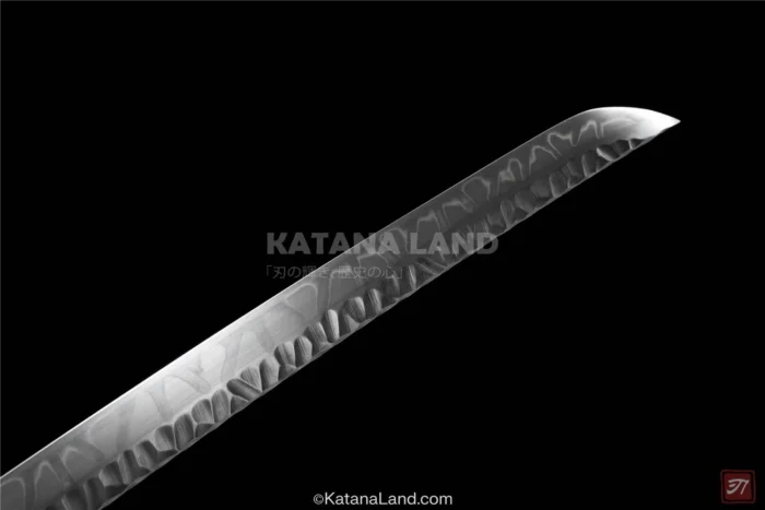 Kagetora Katana - Premium Black Blade