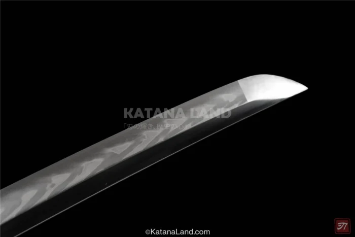 Drunken Spring Breeze Black Katana with Distinctive Design