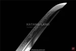 Exquisite Red Katana with Hamon Pattern