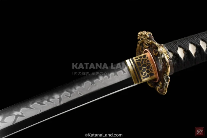 Black Blade Enryū Katana for Martial Arts