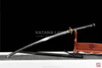 Elegant Black Enryū Blade Katana