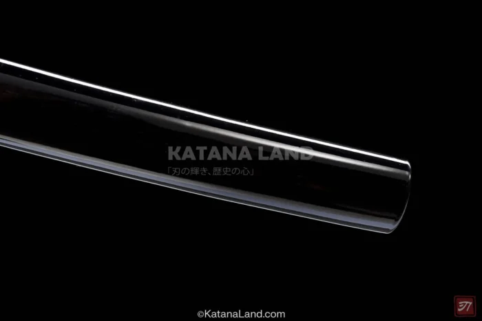 Stylish Black Blade Samurai Katana